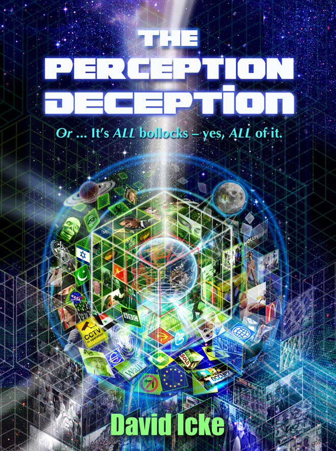 The Perception Deception Book Cover