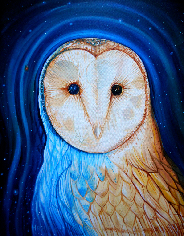 Barn Owl